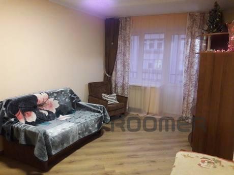 Cozy 1 bedroom apartment., Lviv - apartment by the day