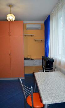 Apartment renovated, Metro Pecherskaya, Kyiv - apartment by the day