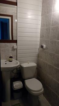 An apartment for rent near the center of, Morshyn - apartment by the day