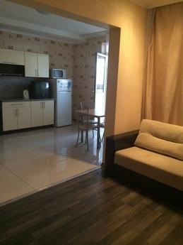 Double bed, sofa, built-in furniture, kitchen. All the furni
