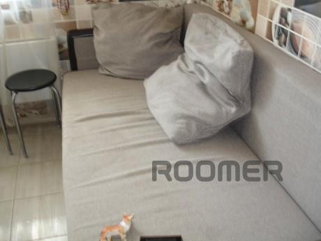 Rent 1-to. sq. m. Shchelkovo Daily Host, Shchyolkovo - apartment by the day