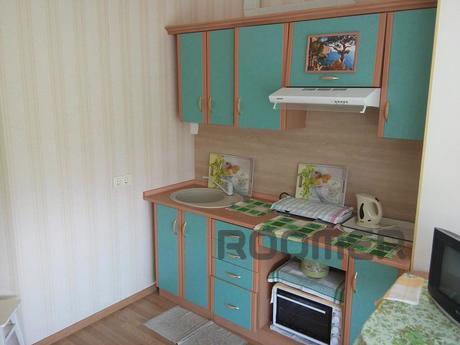 1 bedroom apartment with panoramic view, Chernomorsk (Illichivsk) - apartment by the day
