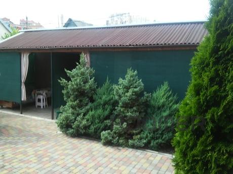 Rooms in the private sector, Chernomorsk (Illichivsk) - apartment by the day