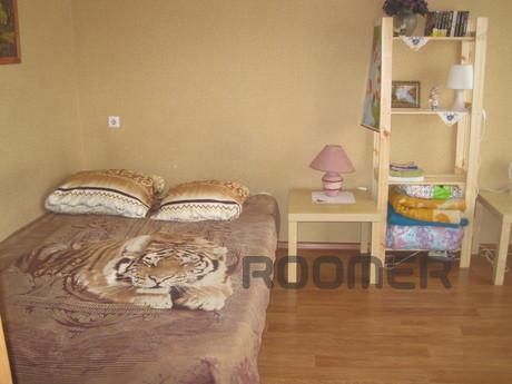Rent an inexpensive cozy 1-room apartment in Novosibirsk wit
