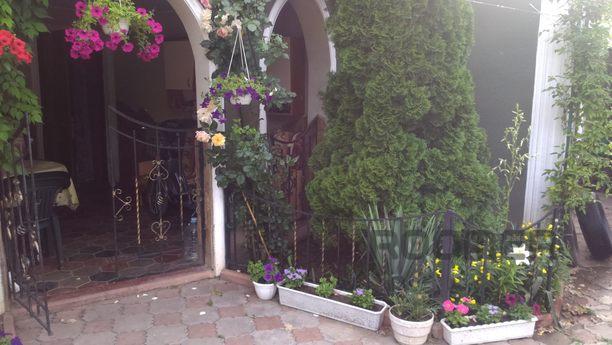 Rent rooms in the private sector, Odessa - apartment by the day