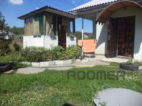 Rent house daily, Mirgorod - apartment by the day