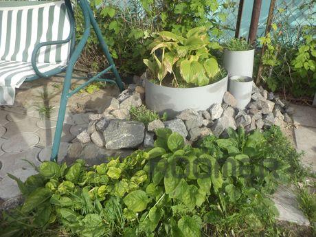 Rent house daily, Mirgorod - apartment by the day