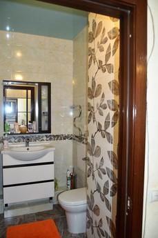 1 bedroom apartment for rent, Krasnodar - apartment by the day