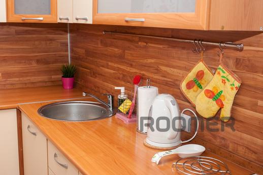 Spacious one-room apartment, Yekaterinburg - apartment by the day