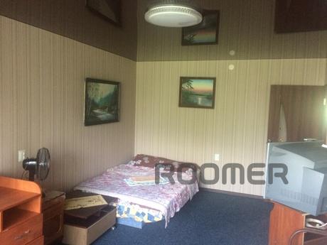 Двох комнатная квартира, Ужгород - квартира посуточно