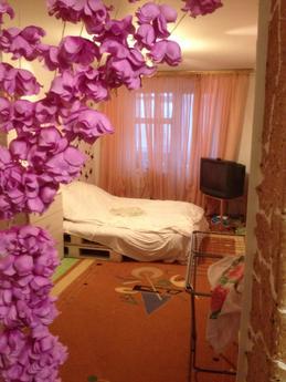 Cozy and clean apartment after major repairs! Near the park 