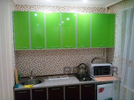 Daily rent / hourly 1kkv, m. Cold mountain in 5 minutes, nea