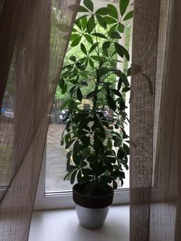 Daily , Moscow - apartment by the day