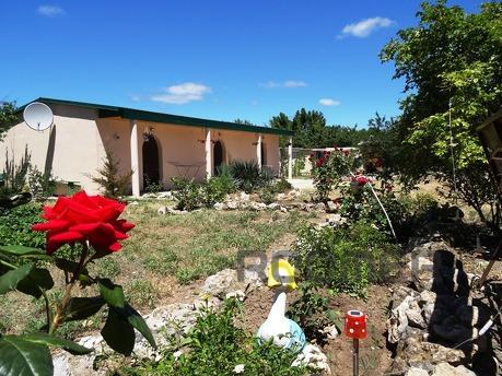 Частное жилье Оленевка снять жильё, Черноморское - квартира посуточно