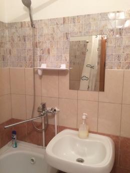 Large 2-bedroom apartment, Surgut - apartment by the day