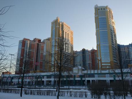 Посуточно проспект Просвещения ,43, Санкт-Петербург - квартира посуточно