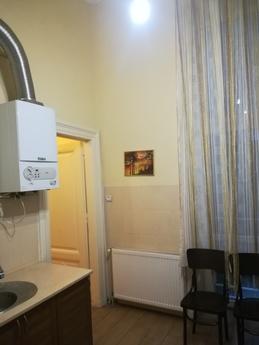 APARTMENT IN THE CENTER OF LVIV !!!!, Lviv - apartment by the day