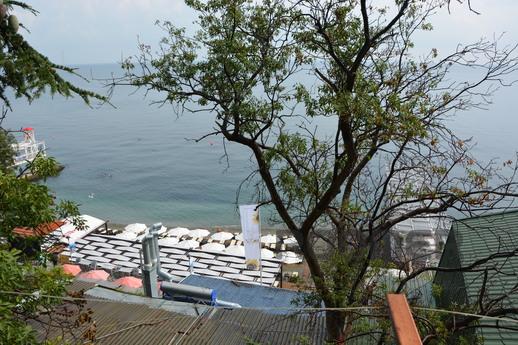 Daily st.Massandrovskaya, Yalta - apartment by the day