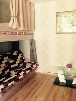 Cozy mini hotel, Krasnoyarsk - apartment by the day