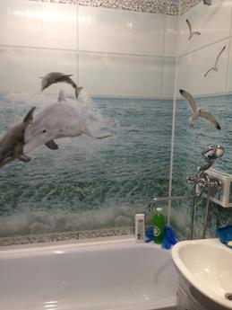 Cozy mini hotel, Krasnoyarsk - apartment by the day