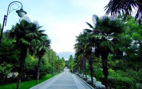 Daily LCD "Lotos" 92, Yalta - apartment by the day