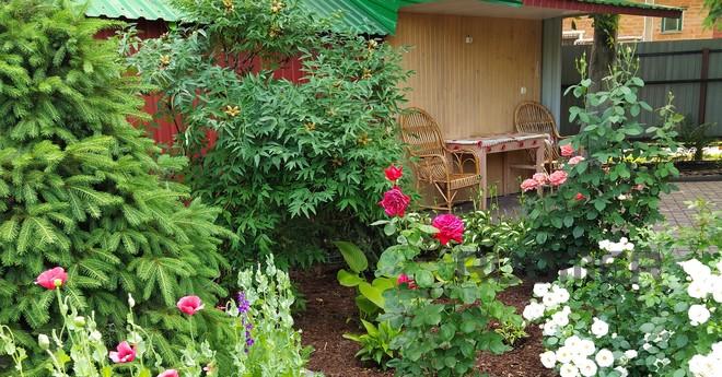 Without intermediaries. Rent a house in the center of the ci
