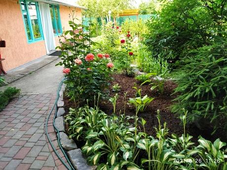 Rent private house Mirgorod, Mirgorod - apartment by the day