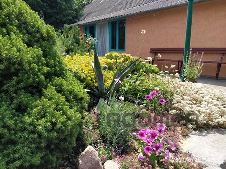 Rent private house Mirgorod, Mirgorod - apartment by the day