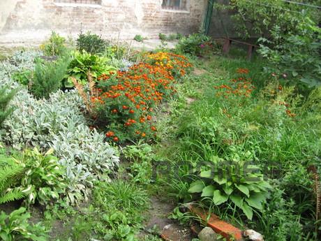 1 bedroom apartment for rent, Lviv - apartment by the day