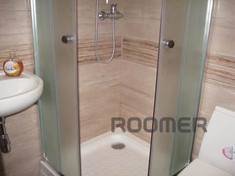 1 bedroom apartment for rent, Lviv - apartment by the day