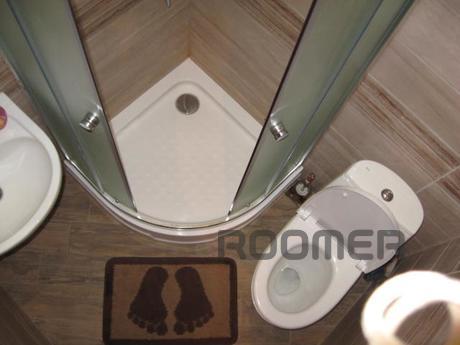 1 bedroom apartment for rent, Lviv - apartment by the day