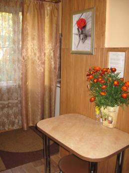 1 bedroom apartment for rent, Lviv - apartment by the day