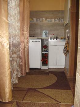 1 bedroom apartment for rent, Lviv - apartment by the day