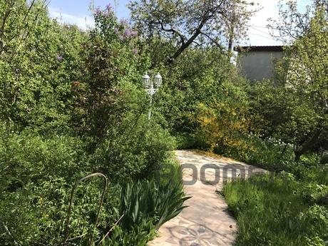 House for rent, Odessa - apartment by the day