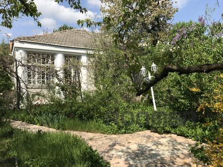 House for rent, Odessa - apartment by the day