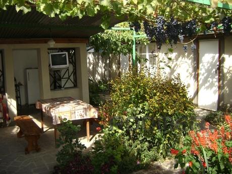 ZANDER. COZY HOUSE FOR TWO PERSONS, Sudak - apartment by the day