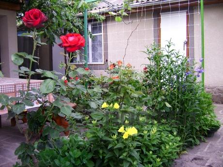 ZANDER. COZY HOUSE FOR TWO PERSONS, Sudak - apartment by the day