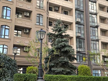 Сдам НОВУЮ  1 ком кв. у моря  Аркадия, Одесса - квартира посуточно