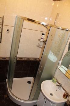 Apartment 1-bedroom Pushkina center, Dnipro (Dnipropetrovsk) - apartment by the day
