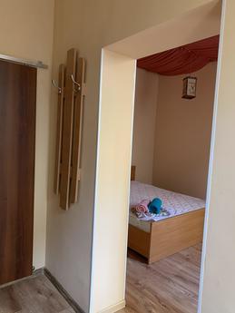 Odnokіmnatna apartment in the center, Lviv - apartment by the day