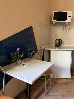 Odnokіmnatna apartment in the center, Lviv - apartment by the day