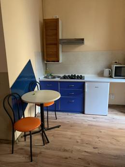Odnokіmnatna apartment in the center, Lviv - apartment by the day