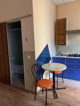 Odnokіmnatna apartment in the center, Lviv - apartment by the day