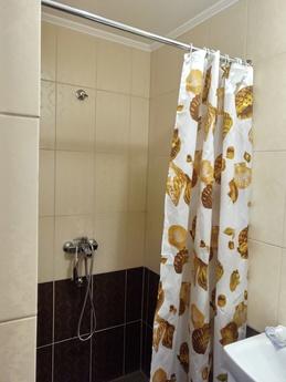 I will give buddy for living, Berehovo - apartment by the day
