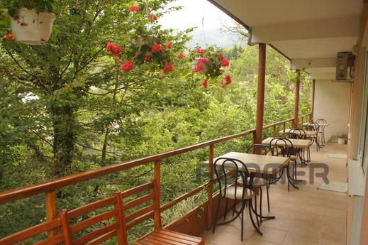 Spacious 4-bed room in a mini-hotel, with access to a common