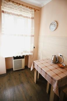 Cozy apartment 5 minutes to the Opera, Lviv - apartment by the day