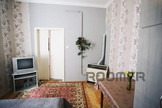 Cozy apartment 5 minutes to the Opera, Lviv - apartment by the day