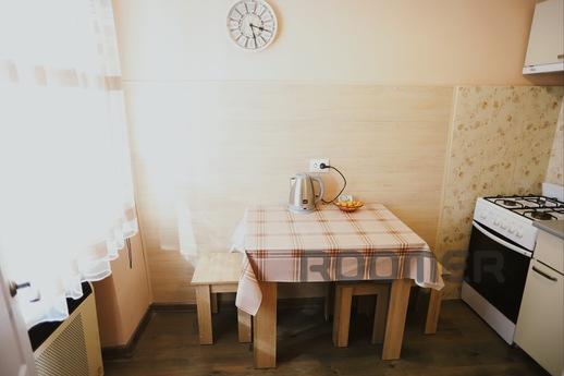 Cozy apartment 5 minutes to the Opera, Lviv - apartment by the day