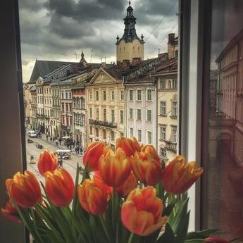 Rent your apartment in the heart of the city of Lviv. The ap