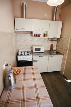 Cozy apartment 5 minutes to the Opera, Lviv - apartment by the day